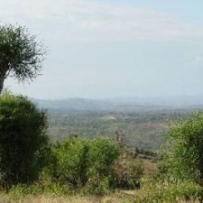 Weite Savannenlandschaft Kenias mit Hügeln und grüner Vegetation