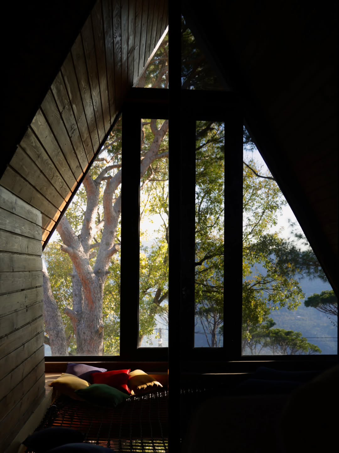 MiCastel Interior 6