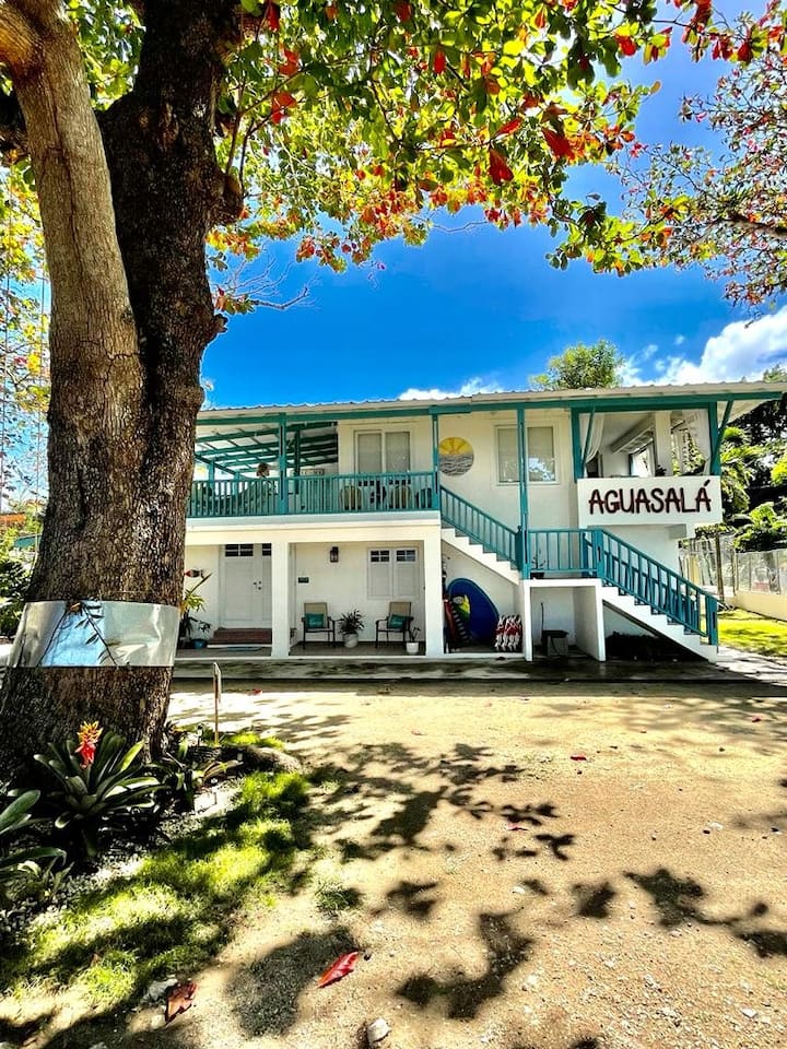 Aguasalá Beach House exterior framed by tropical tree with blue sky