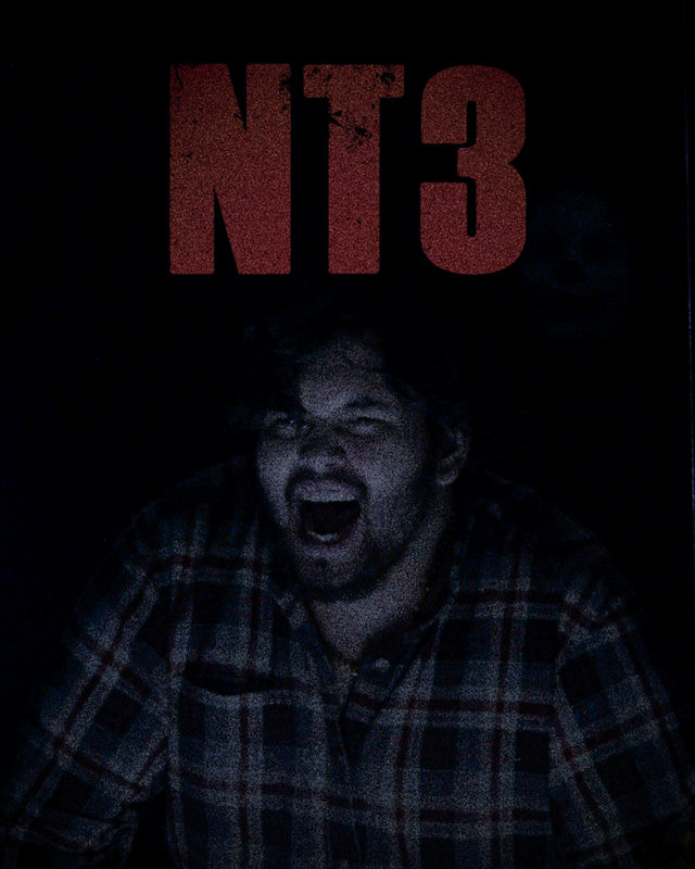 NT3