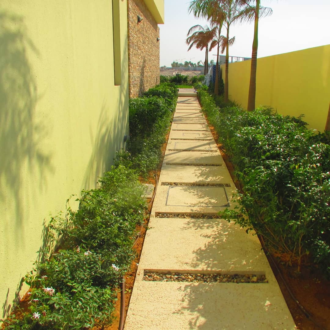 Landscaped garden with planting