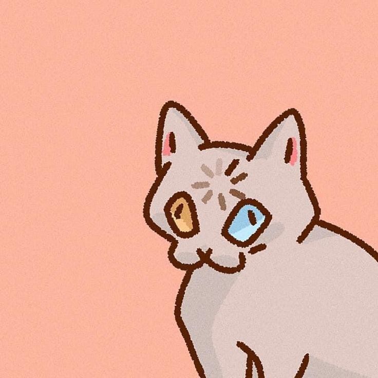 Captain Fluff - The Leader