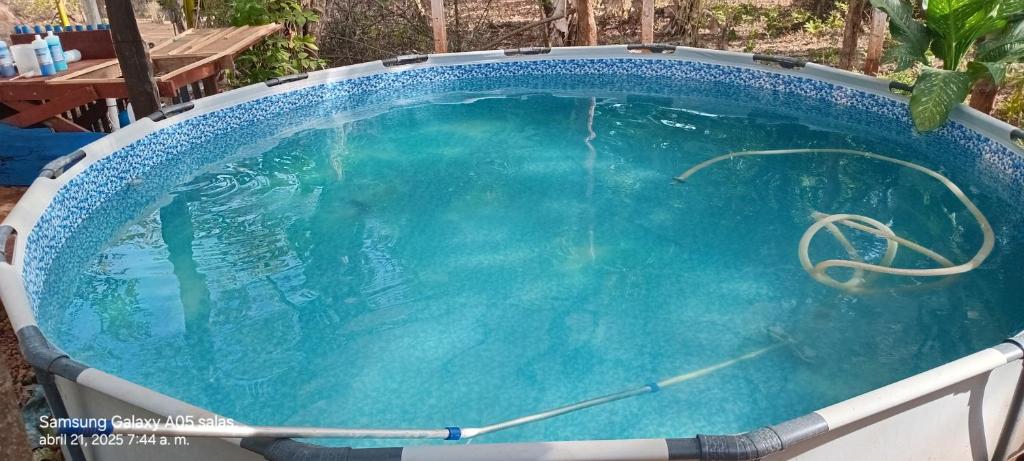 Agua azul de la piscina exterior rodeada de plantas tropicales