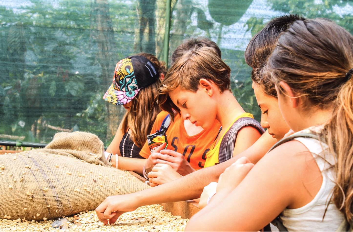 Costa Rica tour activity