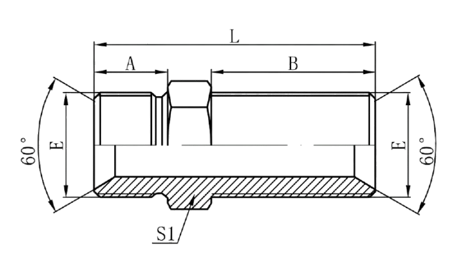 6B - BSP Male 60°Seat Bulkhead
