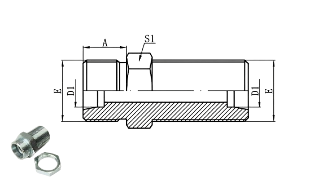 6C - Metric Male 24° L.T. Bulkhead