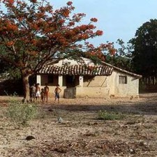 Folkloreauftritt im Festpavillon