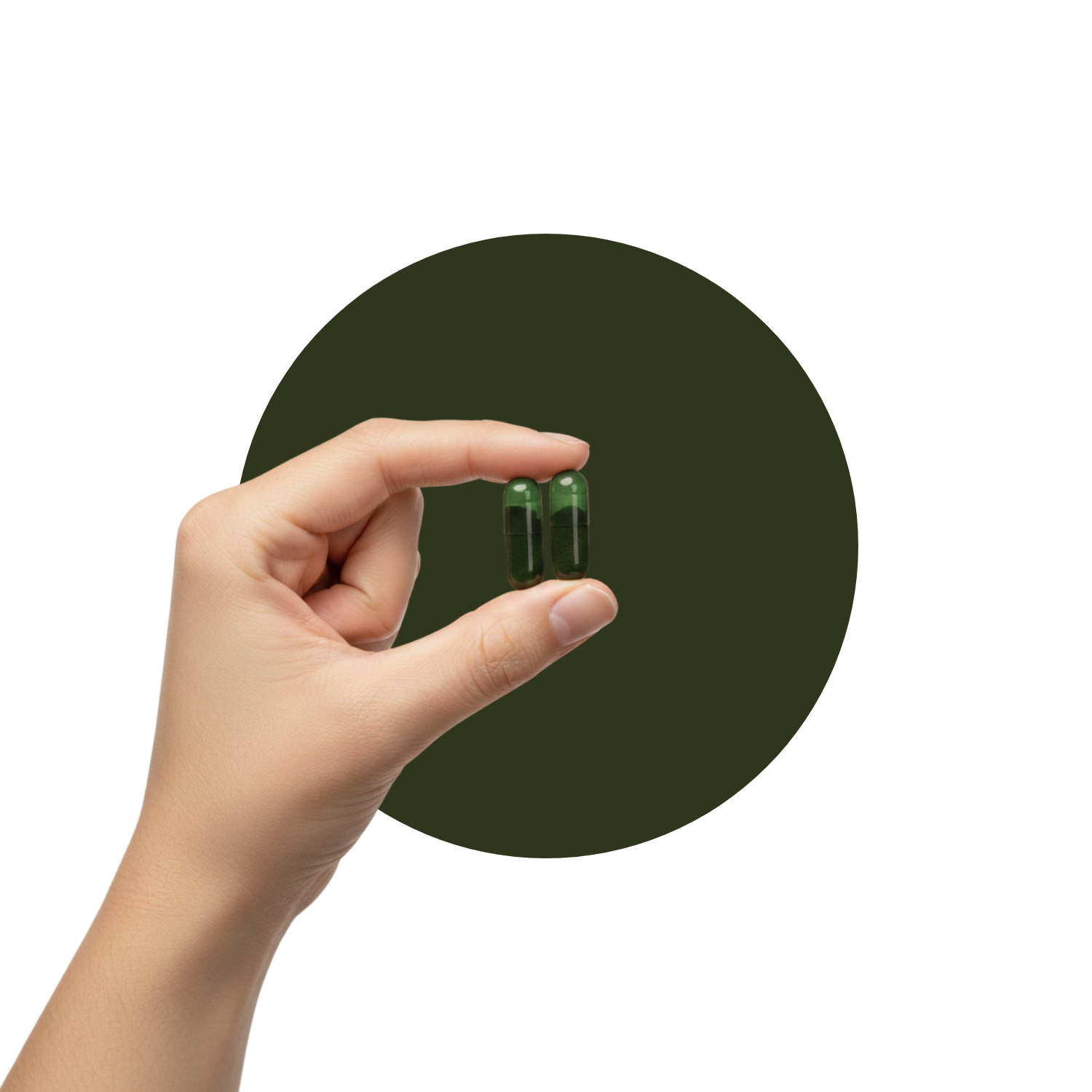Hand holding Seed capsules
