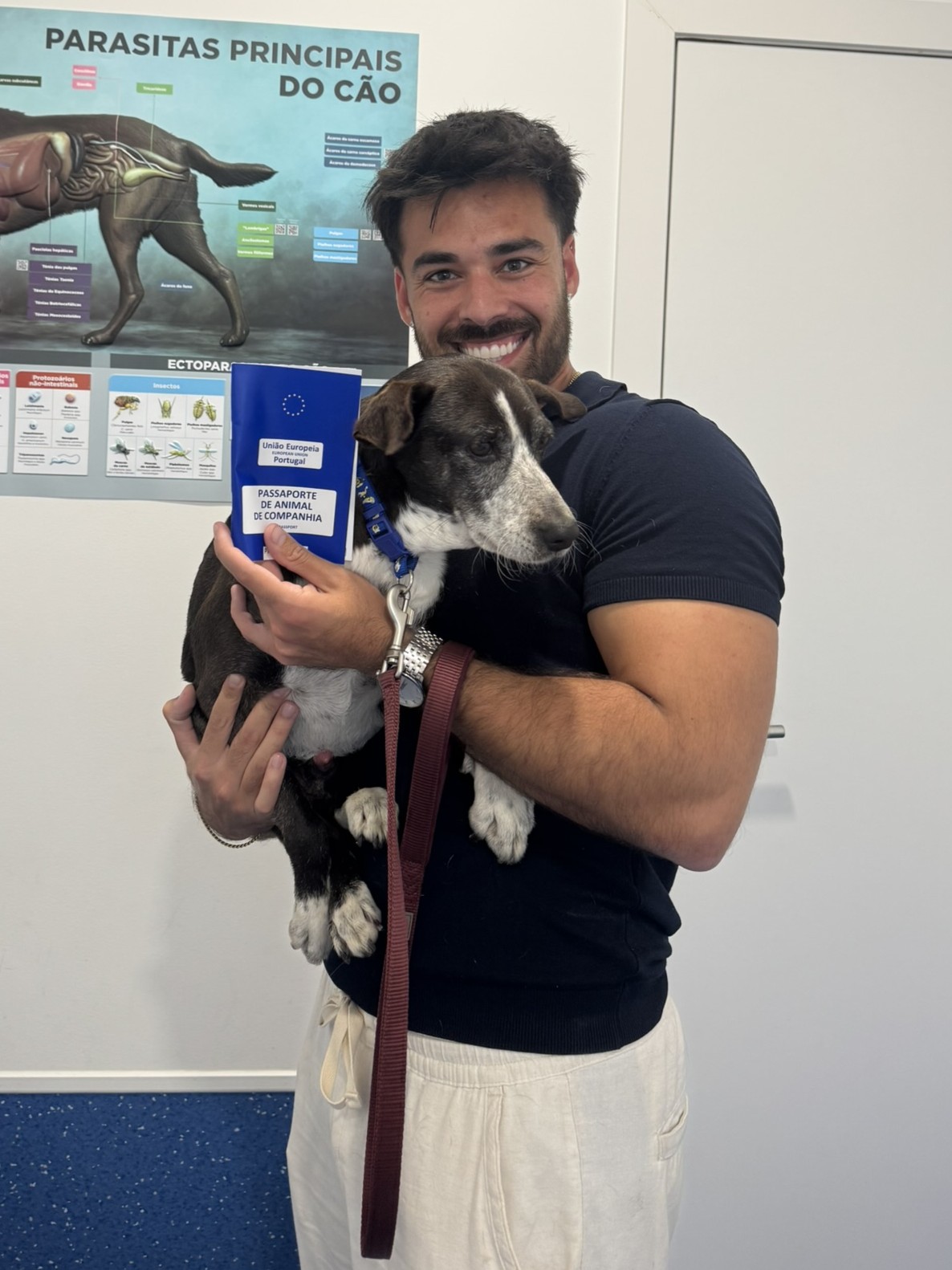 Sukuna with his EU pet passport