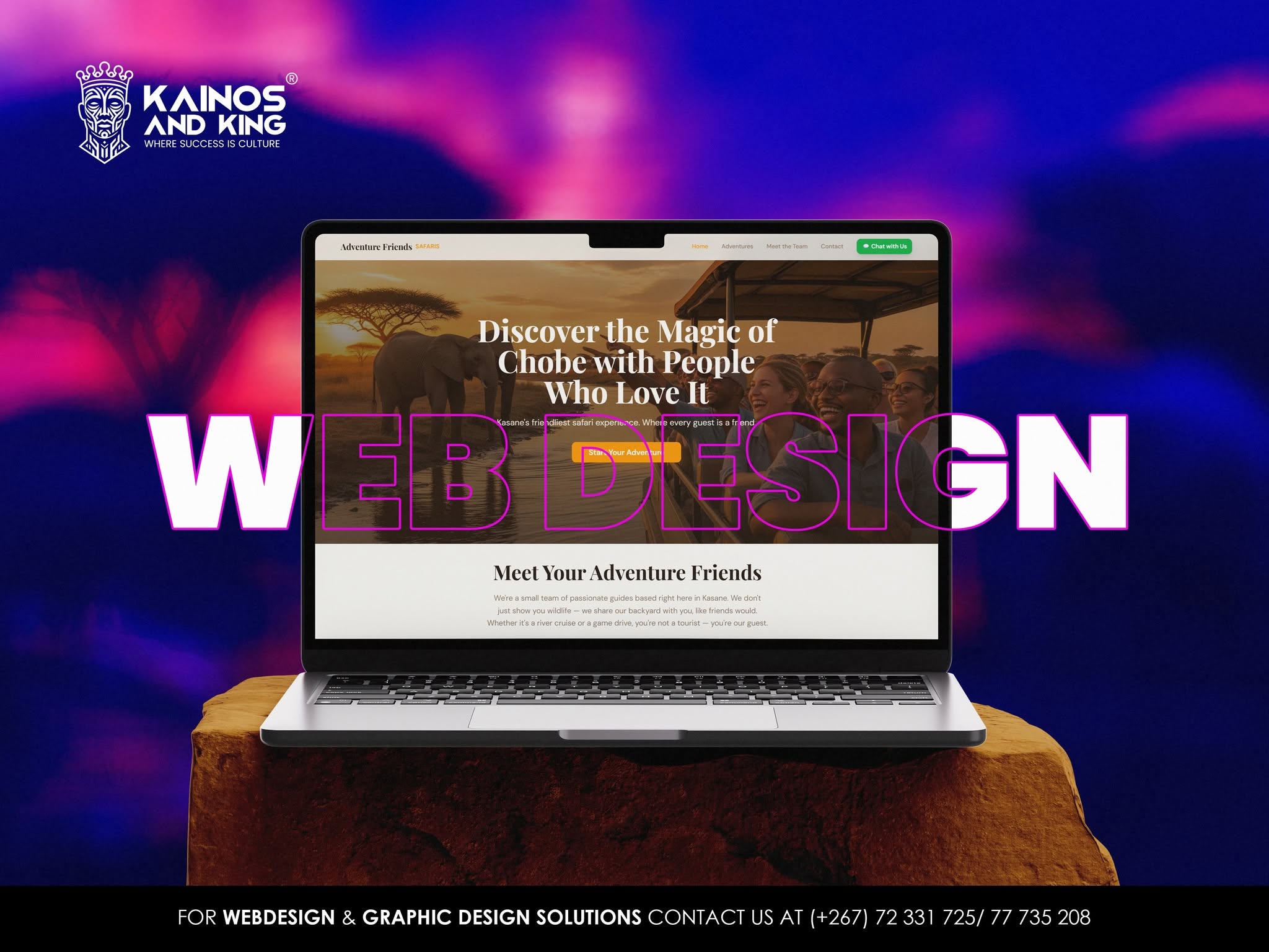 Web design portfolio example