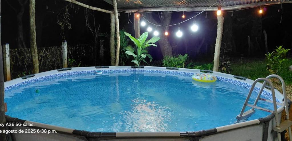 Piscina iluminada por luces cálidas en un patio rodeado de árboles