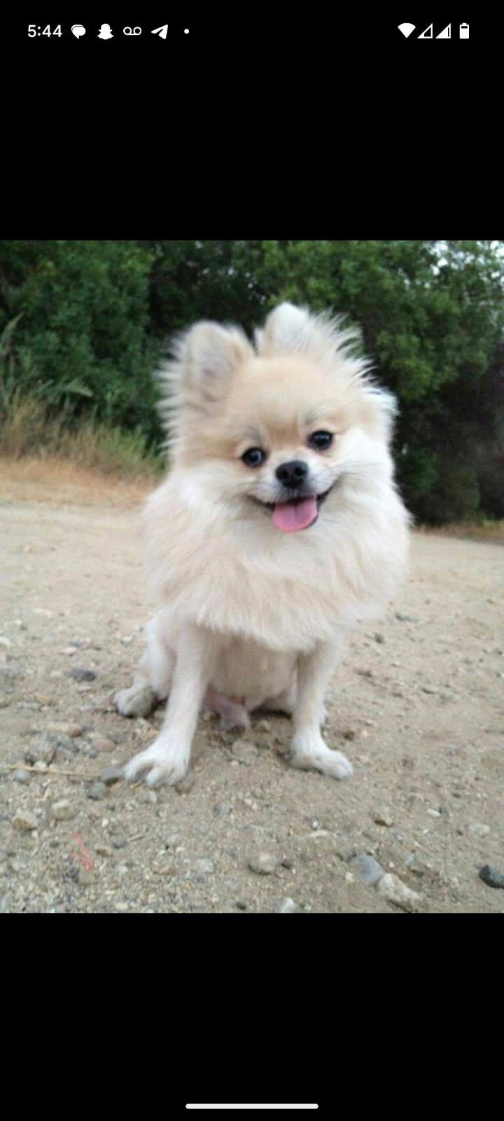 Cashy smiling outdoors - Pure joy