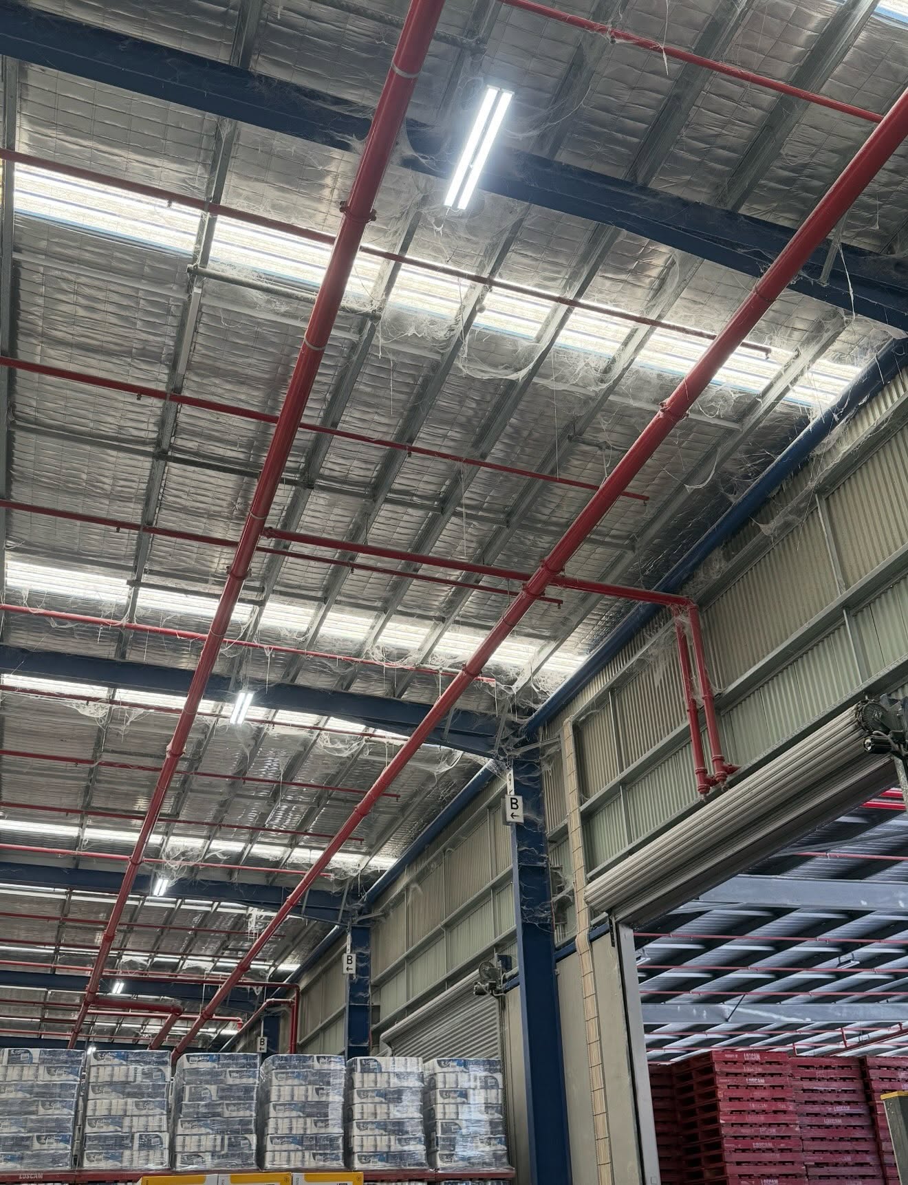 High-Level Warehouse Clean