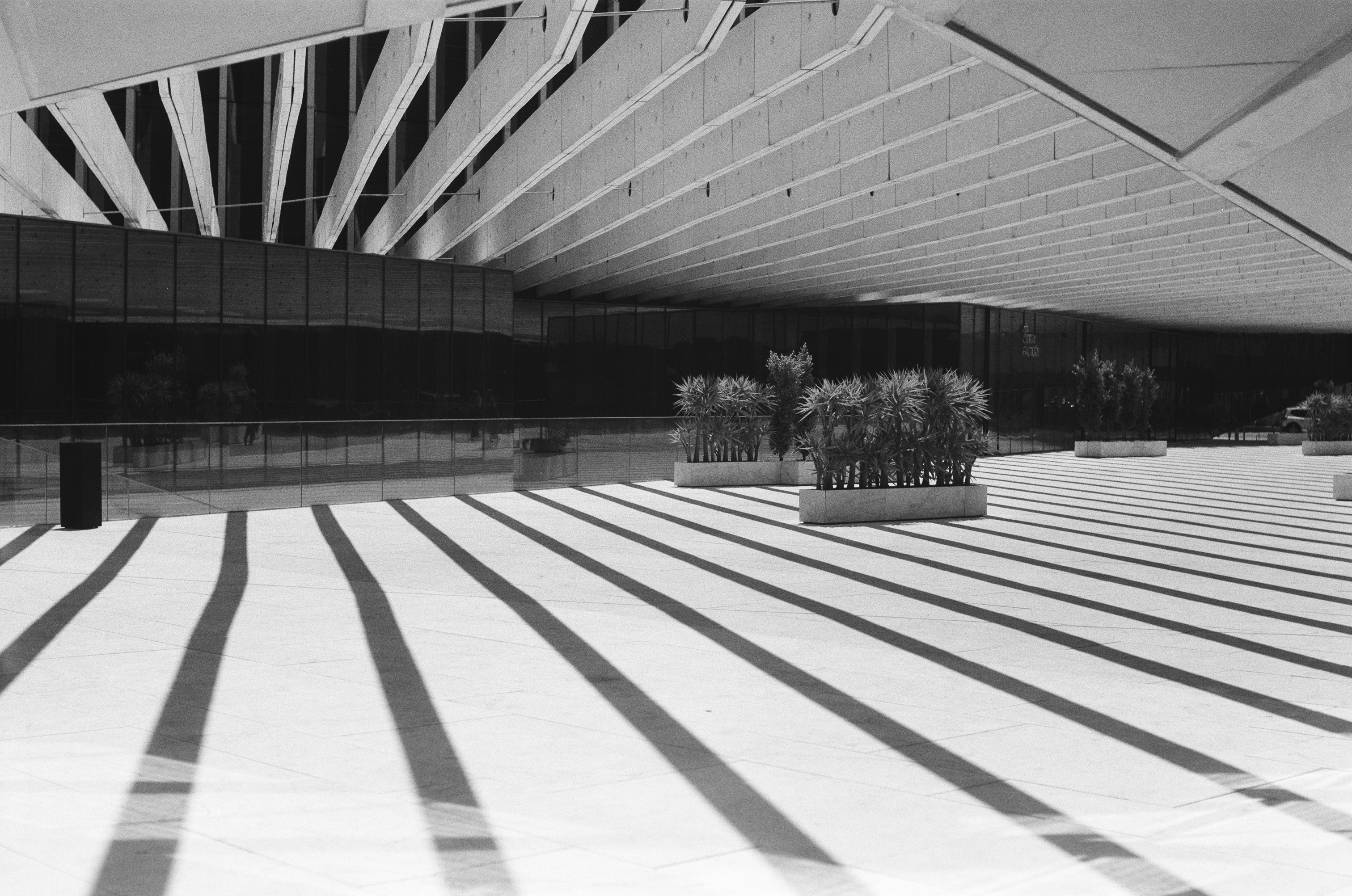Black and white plaza with dramatic diagonal shadow stripes and planters