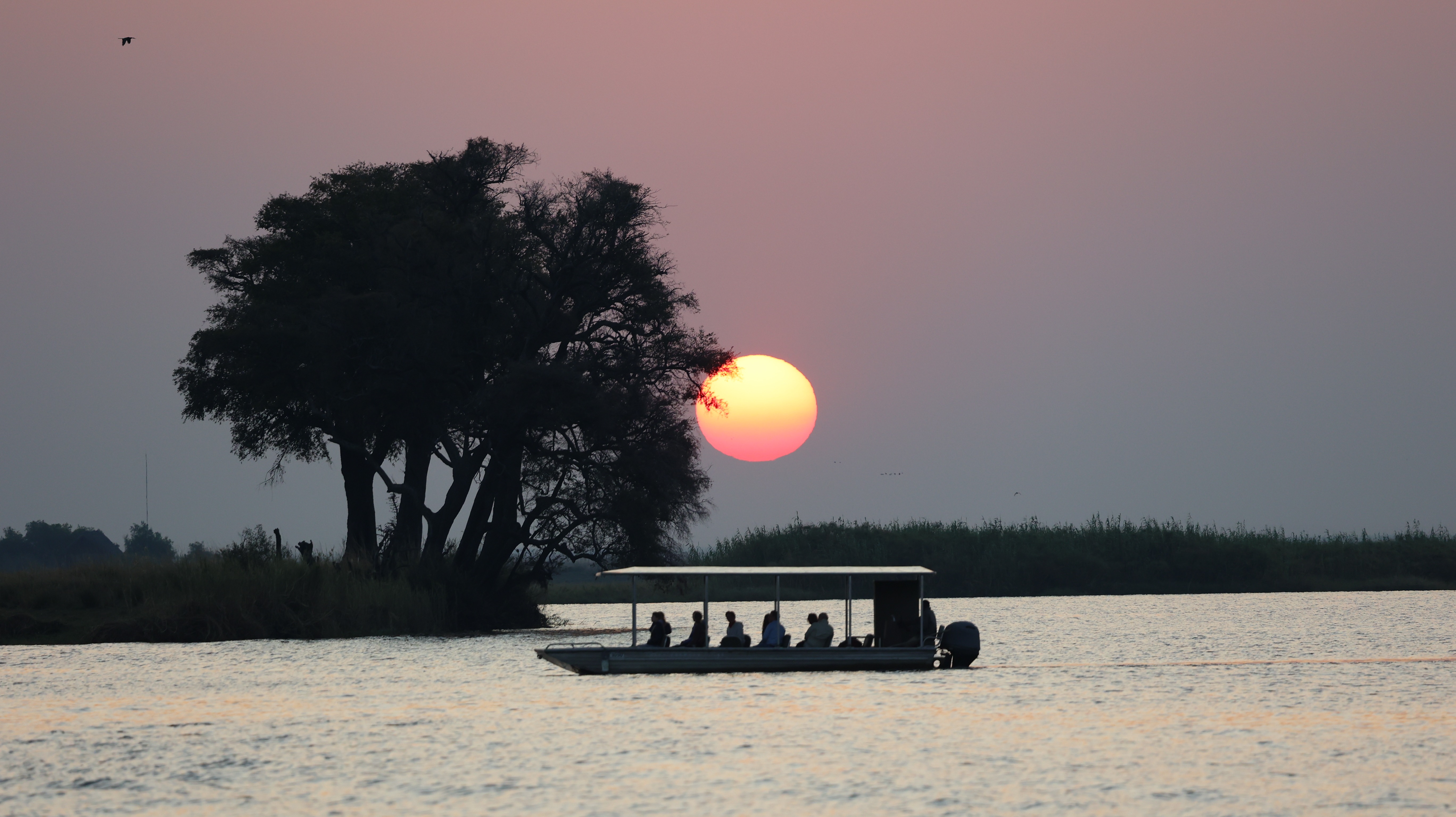 Stunning sunset boat cruise on the Chobe River with large orange sun setting behind silhouetted trees