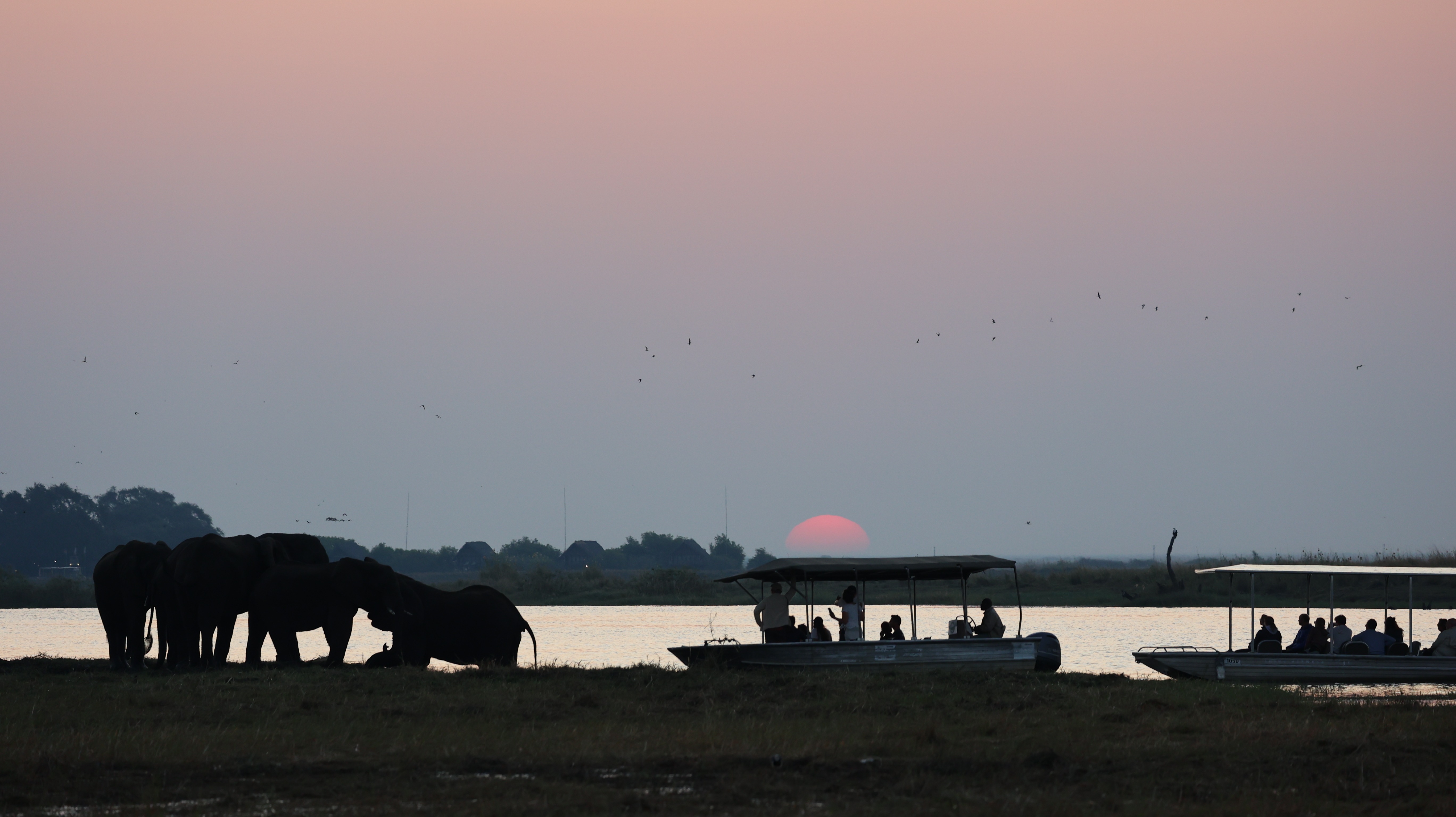 Sunset over the Chobe River with silhouettes of elephants on the bank and safari boats with tourists in the foreground