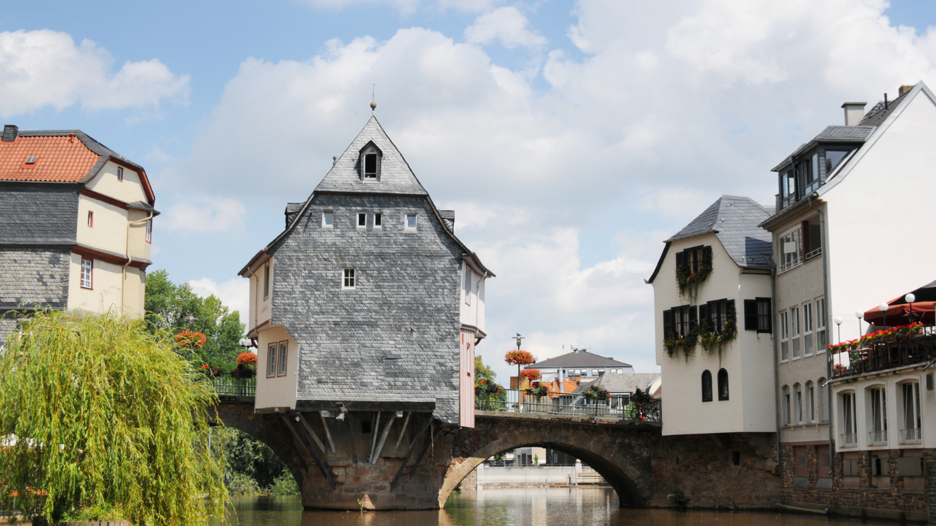 Weinreben in der Weinregion Nahe