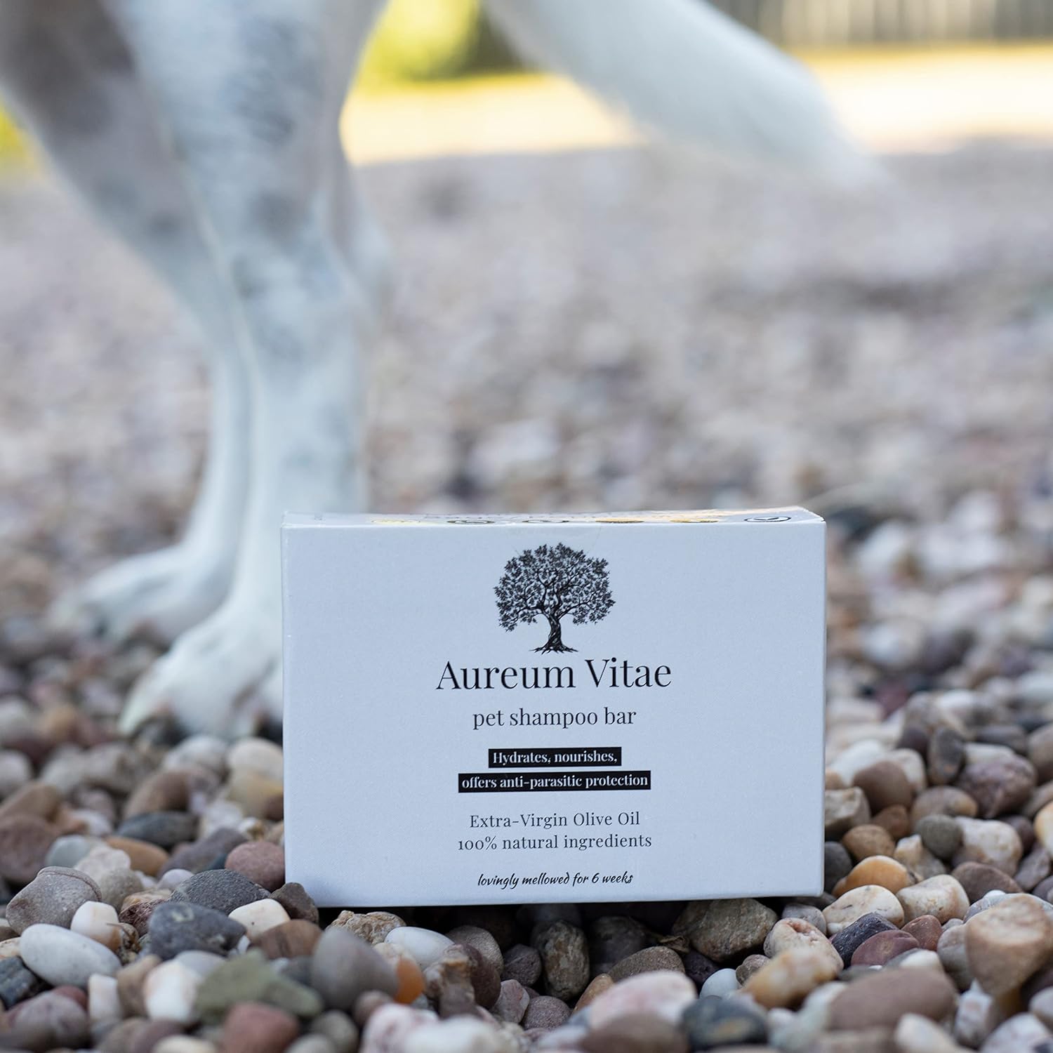 Fancy Dog Soap pet shampoo bar packaging
