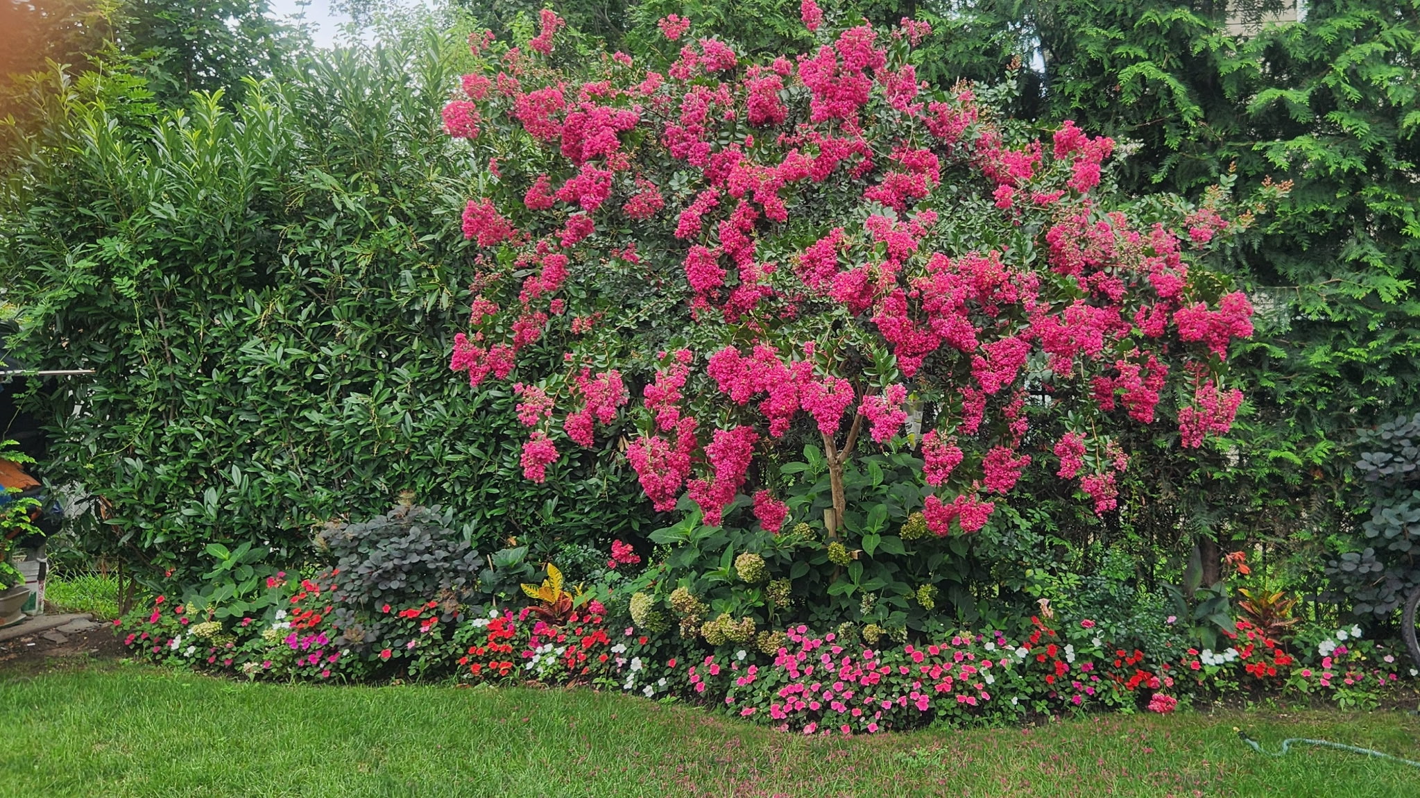Flower bed planted and maintained with vibrant pink blooms and colorful annuals