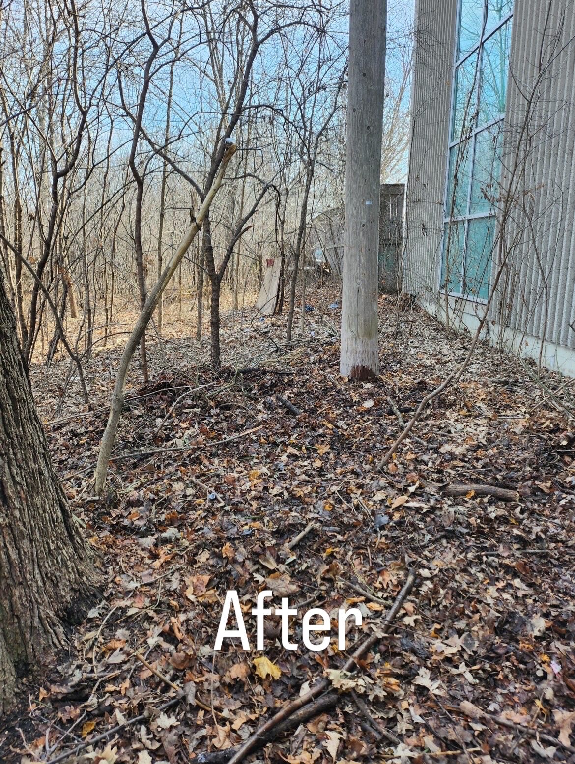 Property Cleanup after