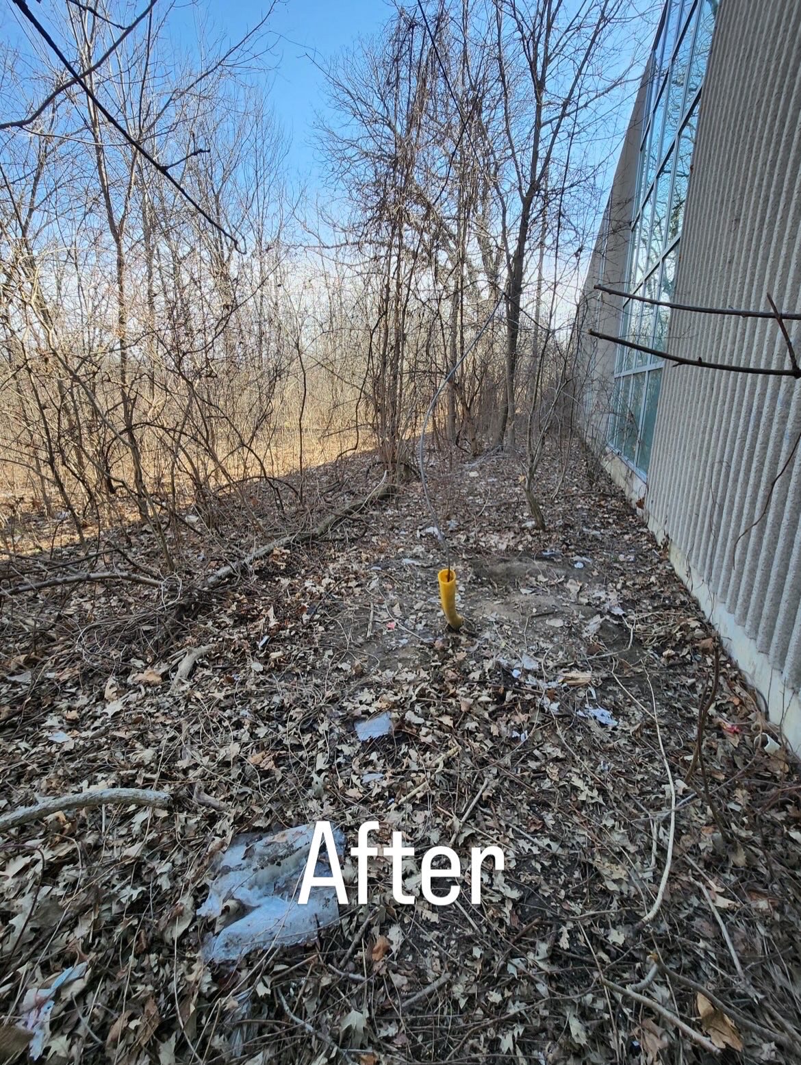 Property Debris Removal after