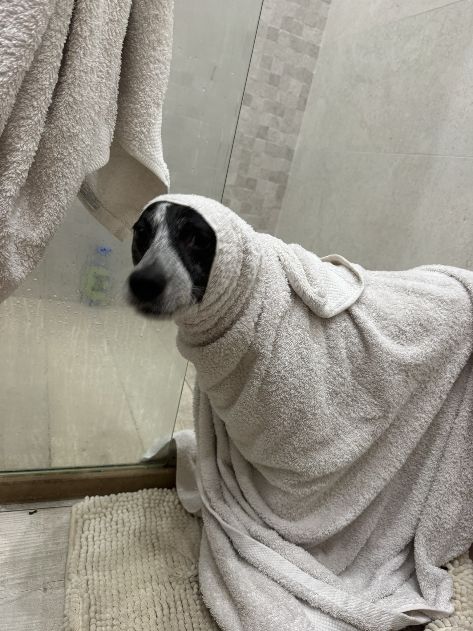 Sukuna wrapped in a cream towel after his bath, looking out of the shower