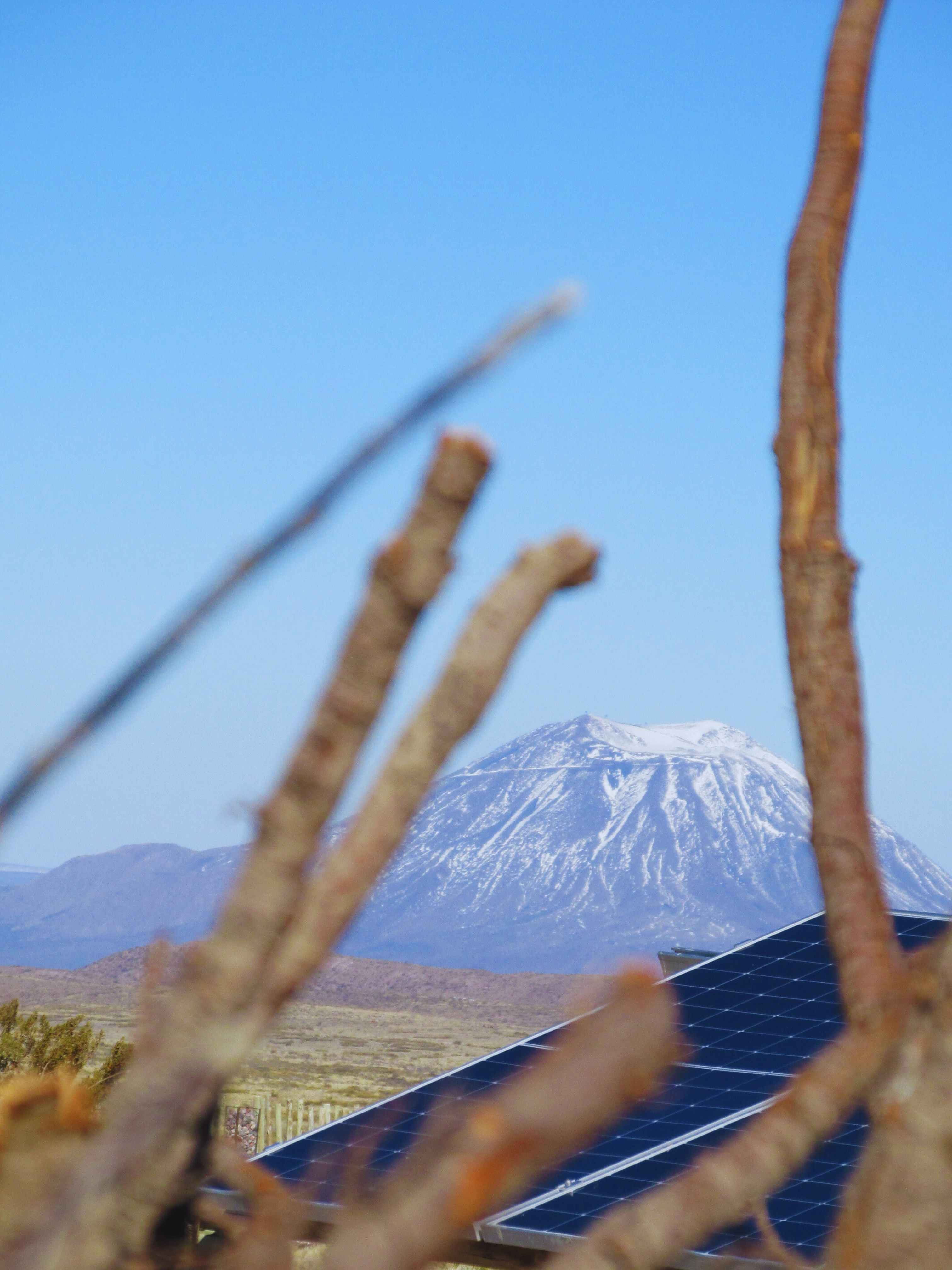 Paneles solares con volcán nevado y ramas en primer plano