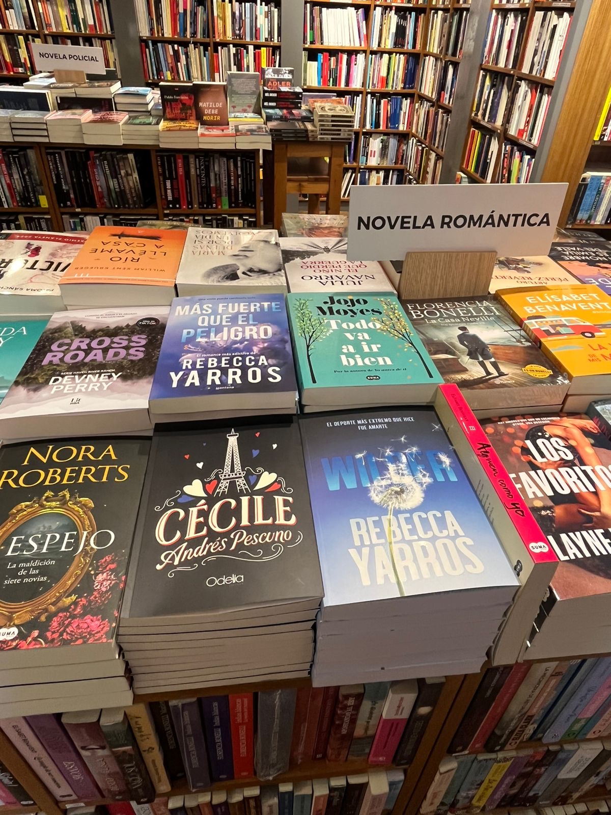 Cécile by Andrés Pescuno displayed in a bookstore