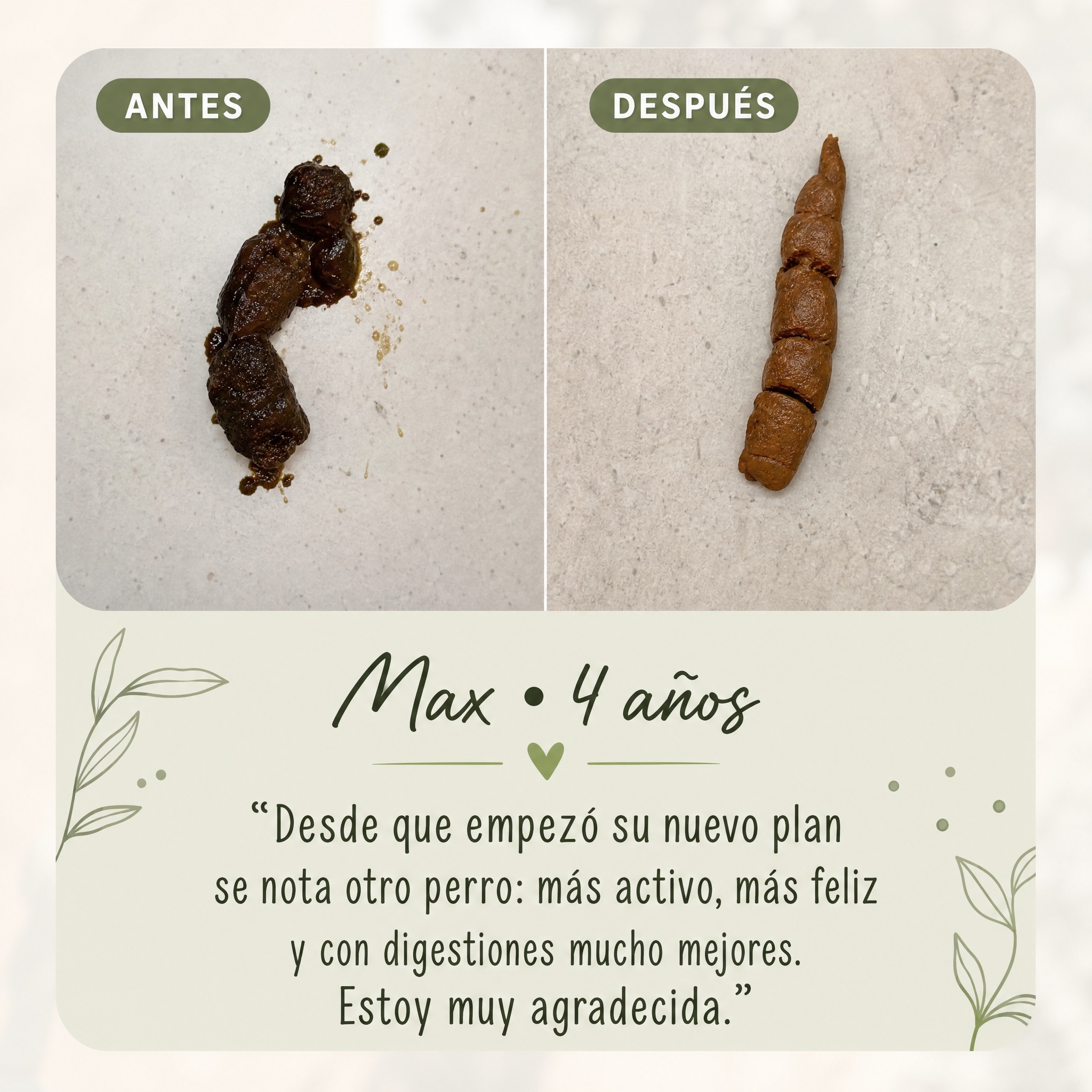Max, testimonio de mejora digestiva