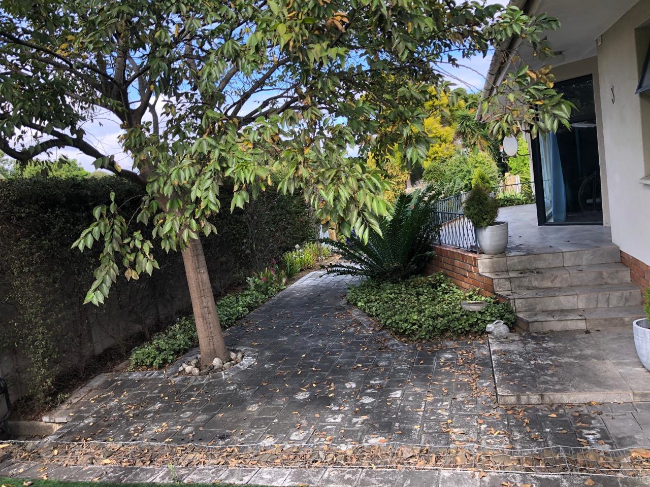 Garden Pathway before