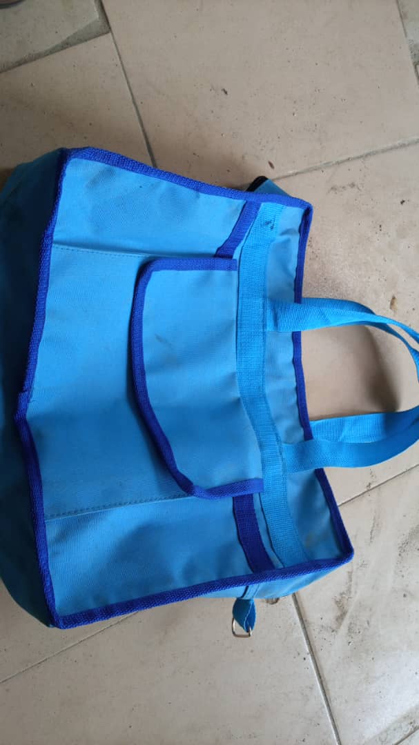 Light Blue Simple Tote