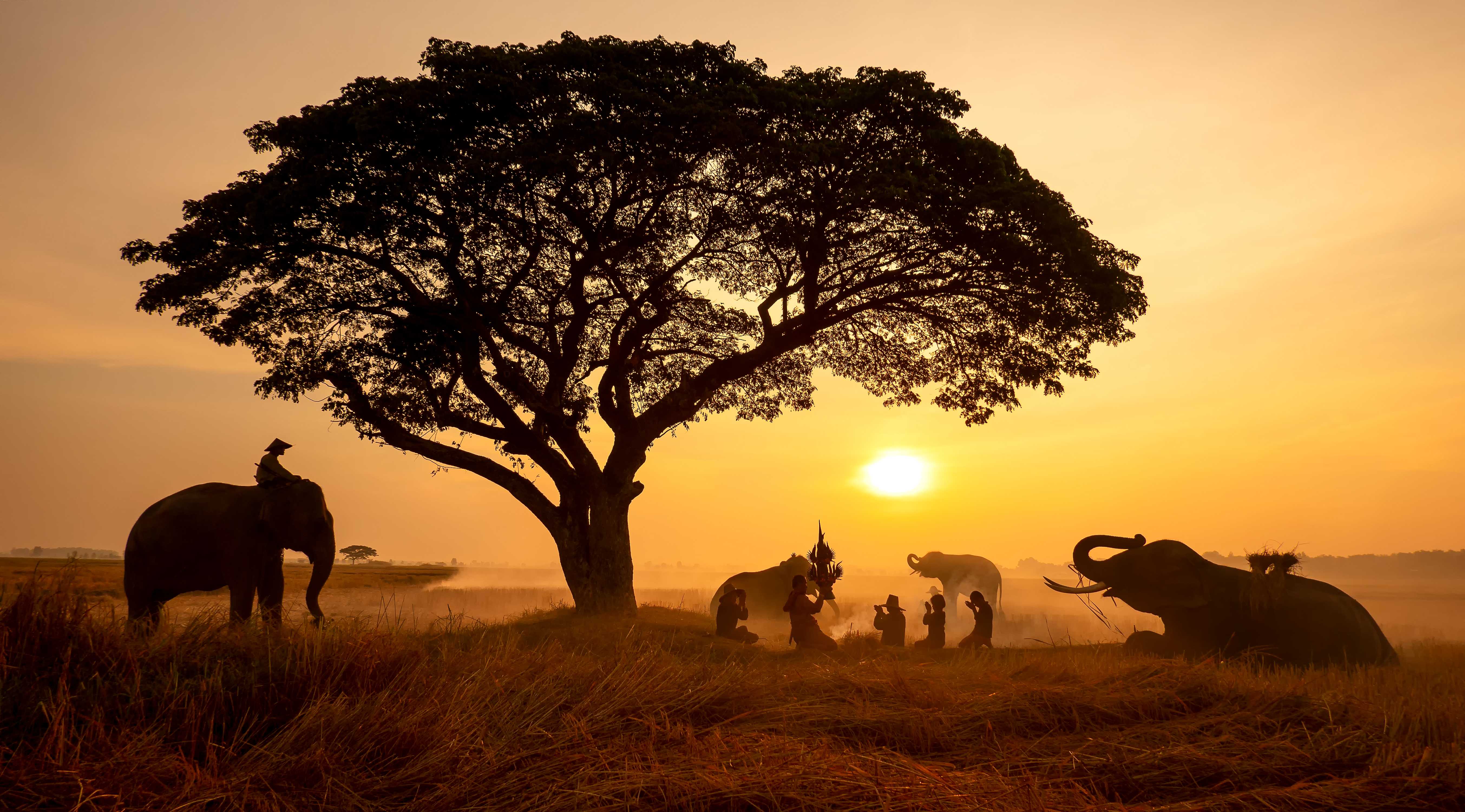 África