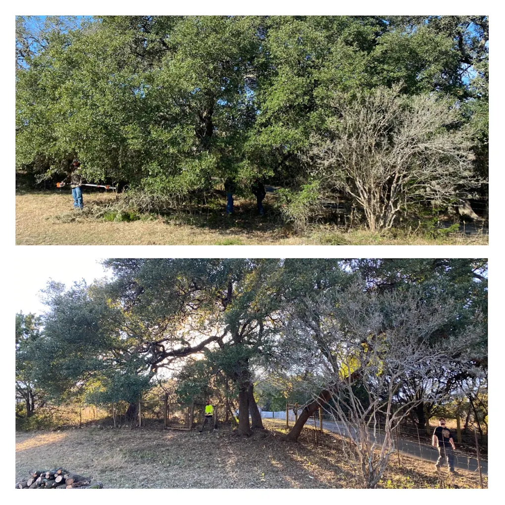 Lot Clearing