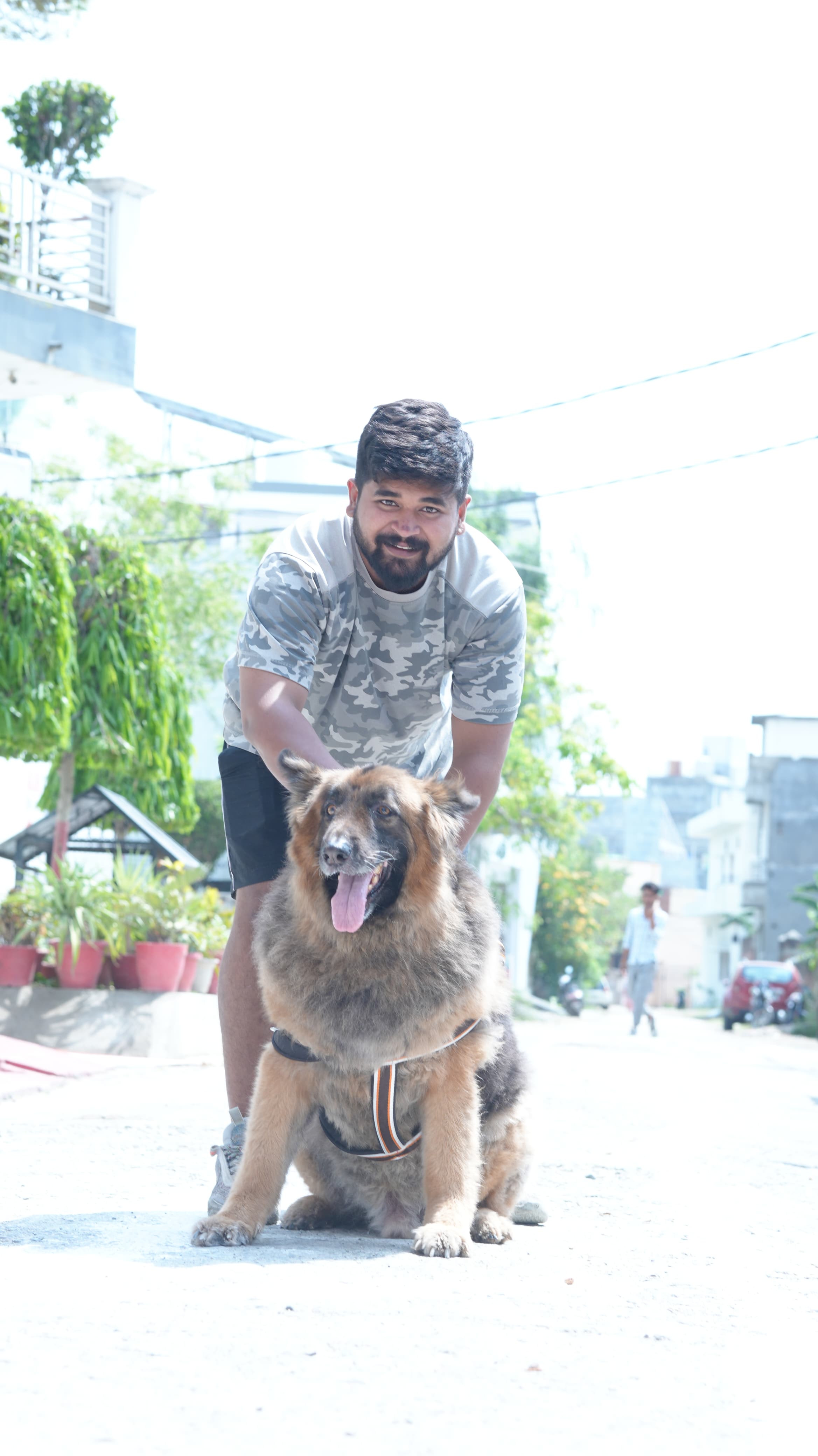 German Shepherd with Owner
