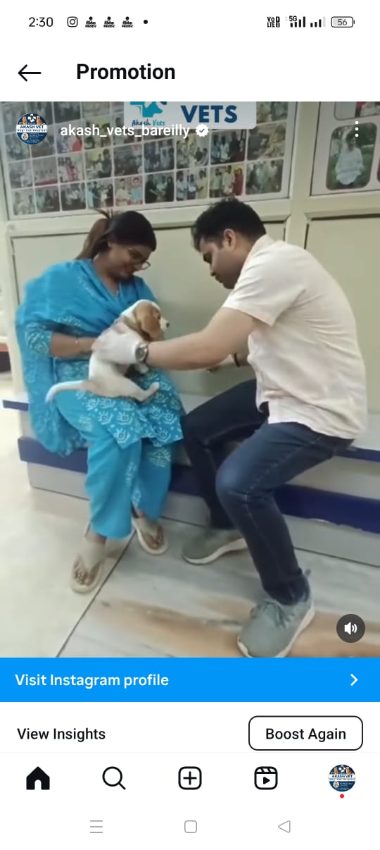 Clinic Puppy Vaccination