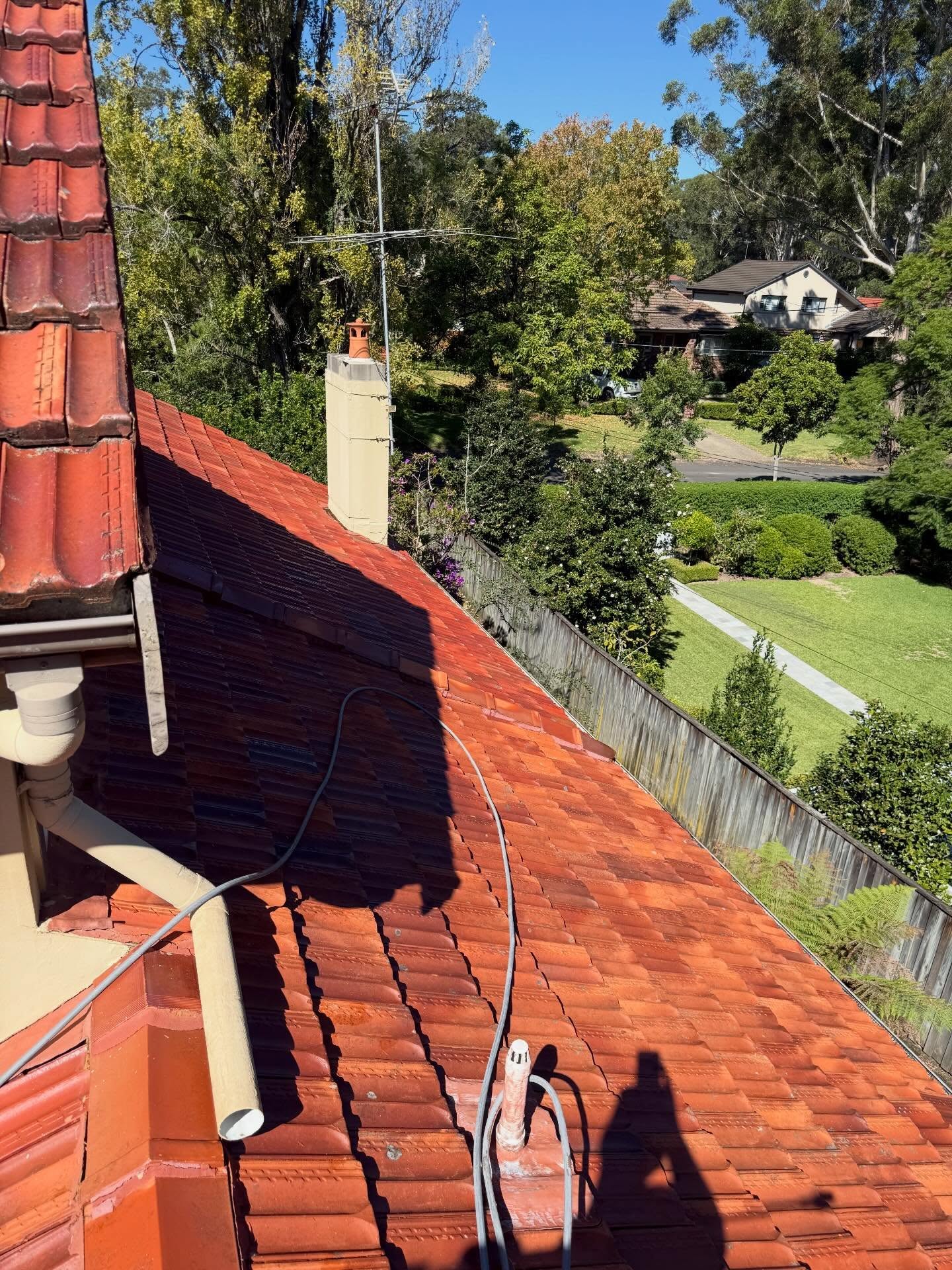 Roof Cleaning - After
