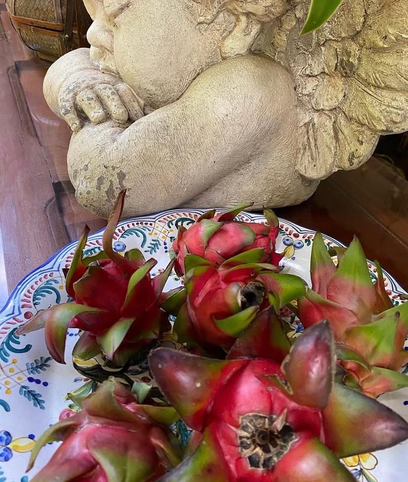 Pitahayas frescas dispuestas en un plato de cerámica pintada junto a una escultura de ángel de piedra