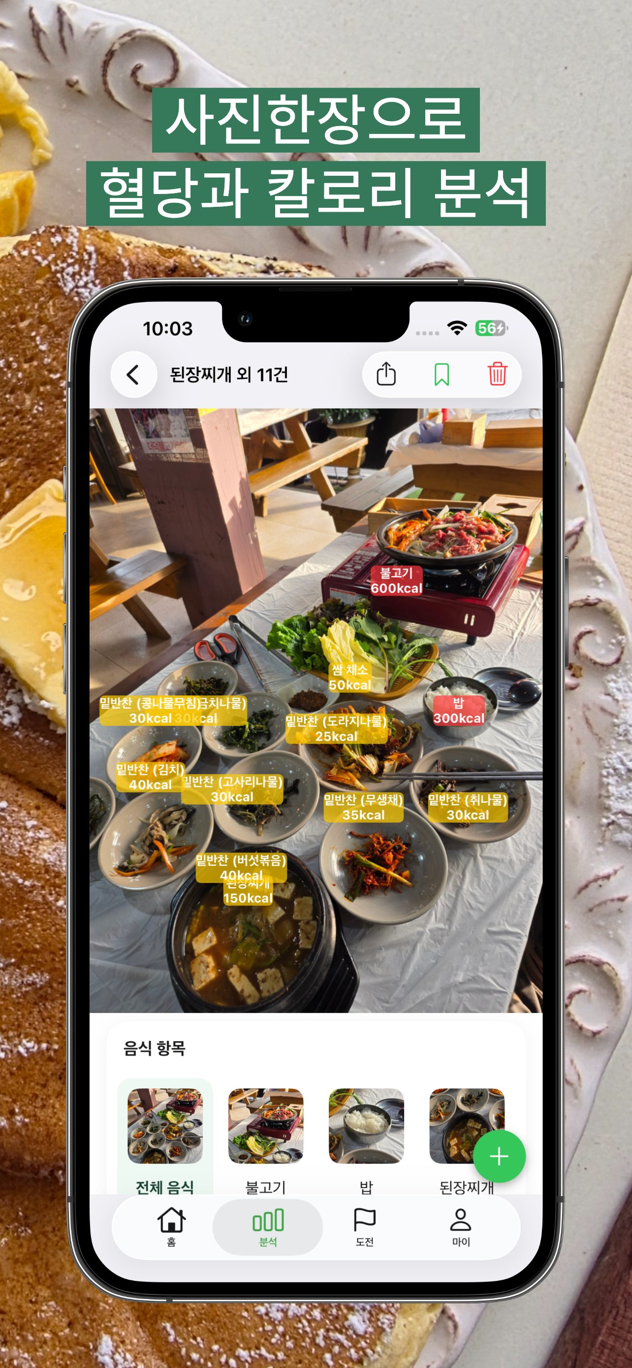 AI 사진 분석