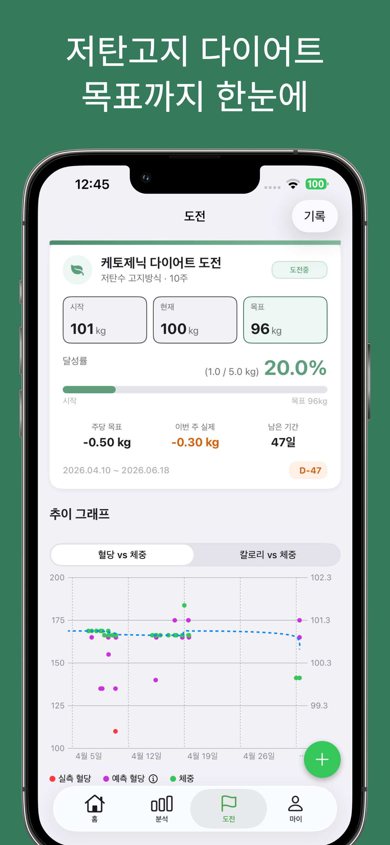 다이어트 도전