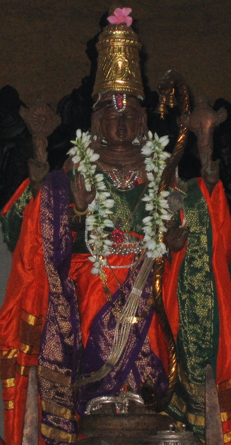 Lord Aravamudhan