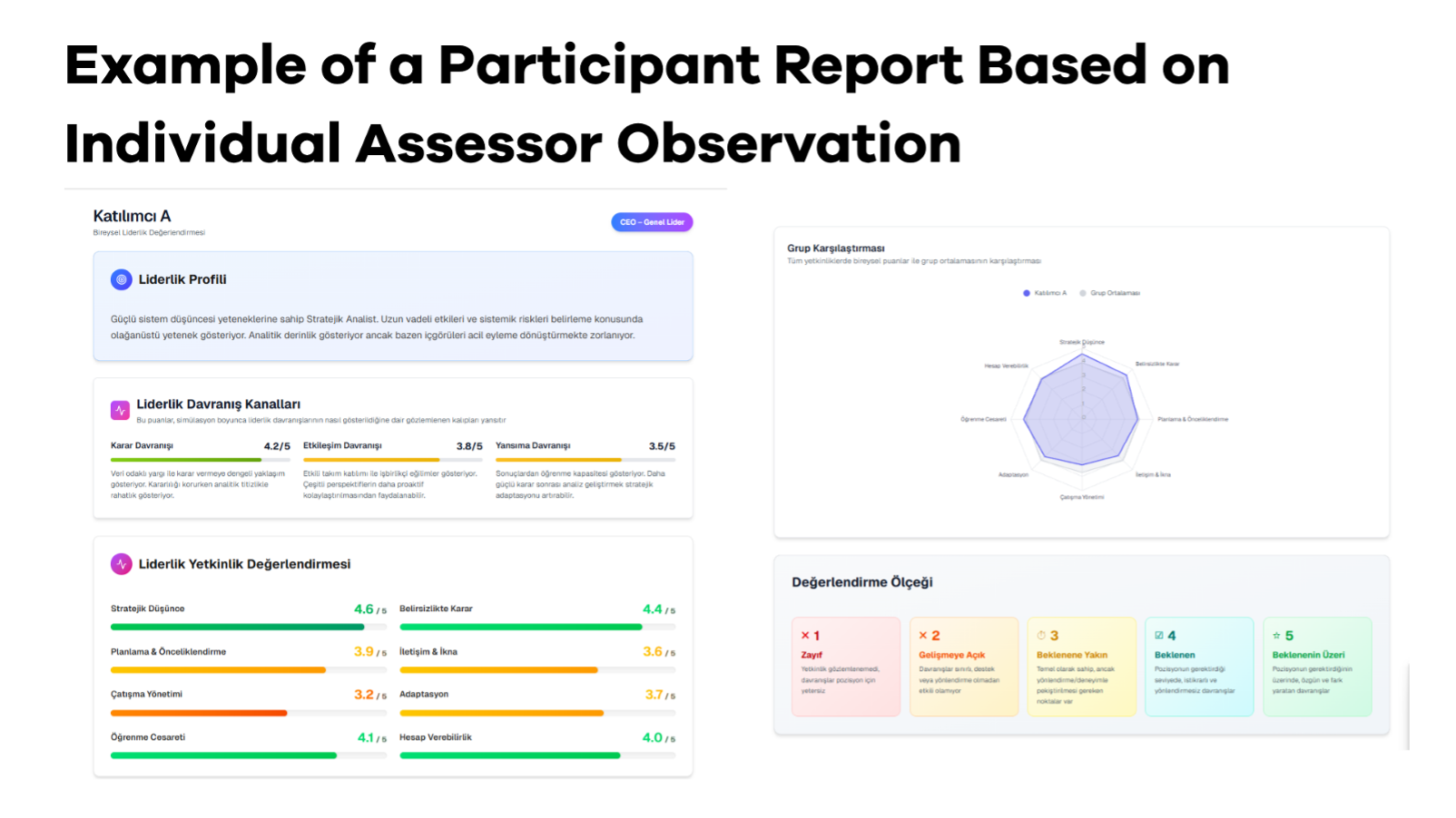 Example individual participant report showing radar chart, competency scores and leadership behaviour channels