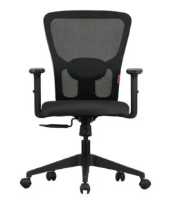 BS-Astro Executive Chair