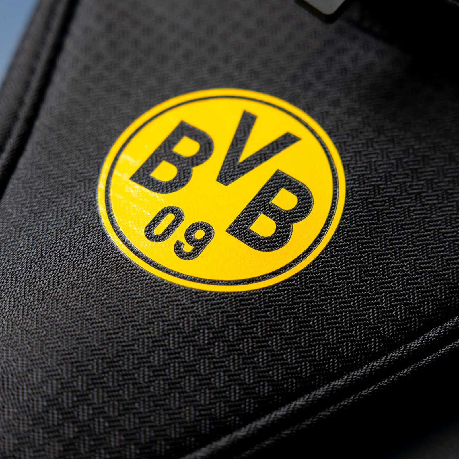 BVB Tischtennis, the table tennis section of Borussia Dortmund