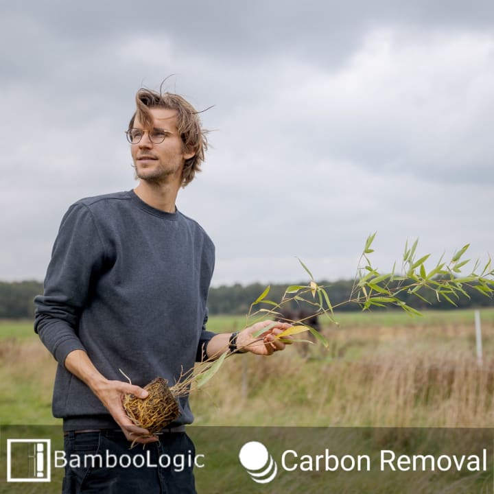 Bamboo Jelle de With