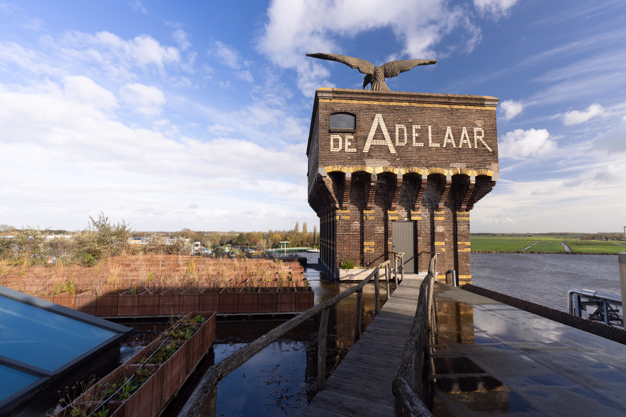 De Adelaar 8