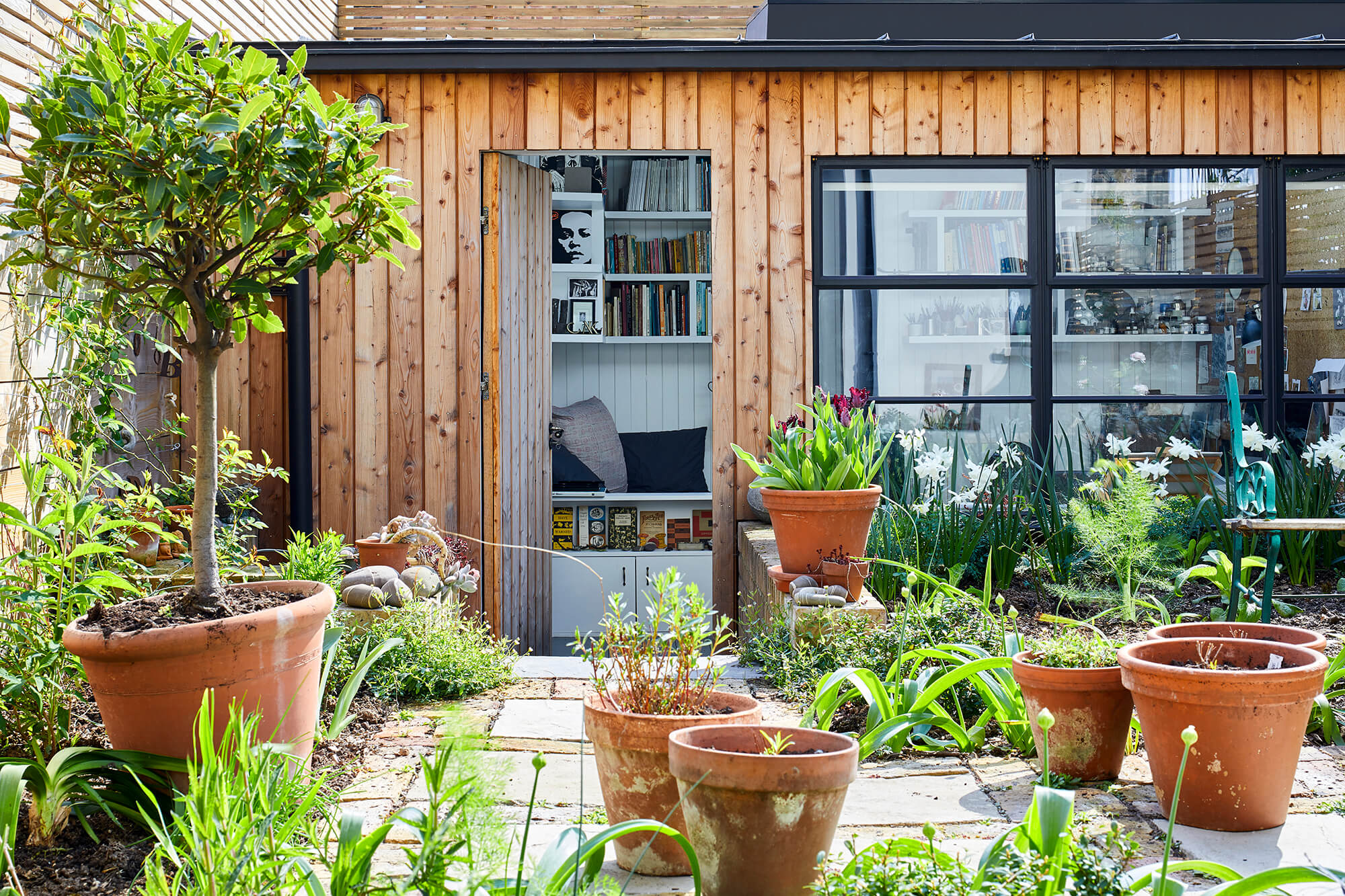 Garden view of timber-clad extension with terracotta pots and spring flowers