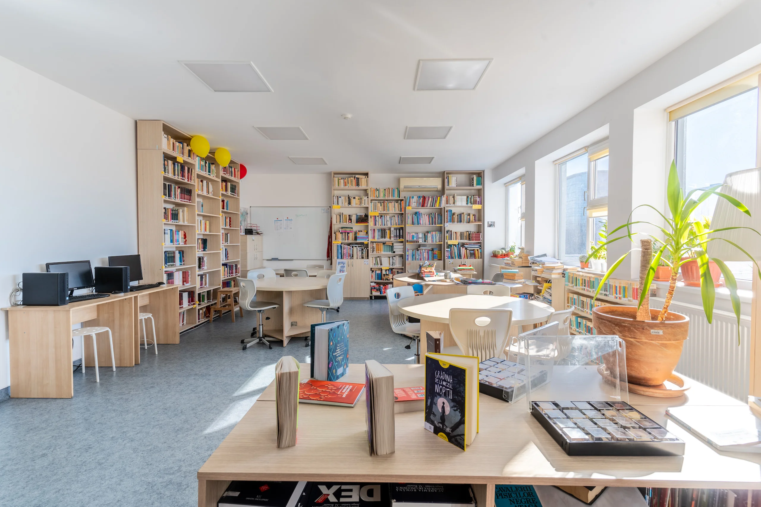 Bibliotecă