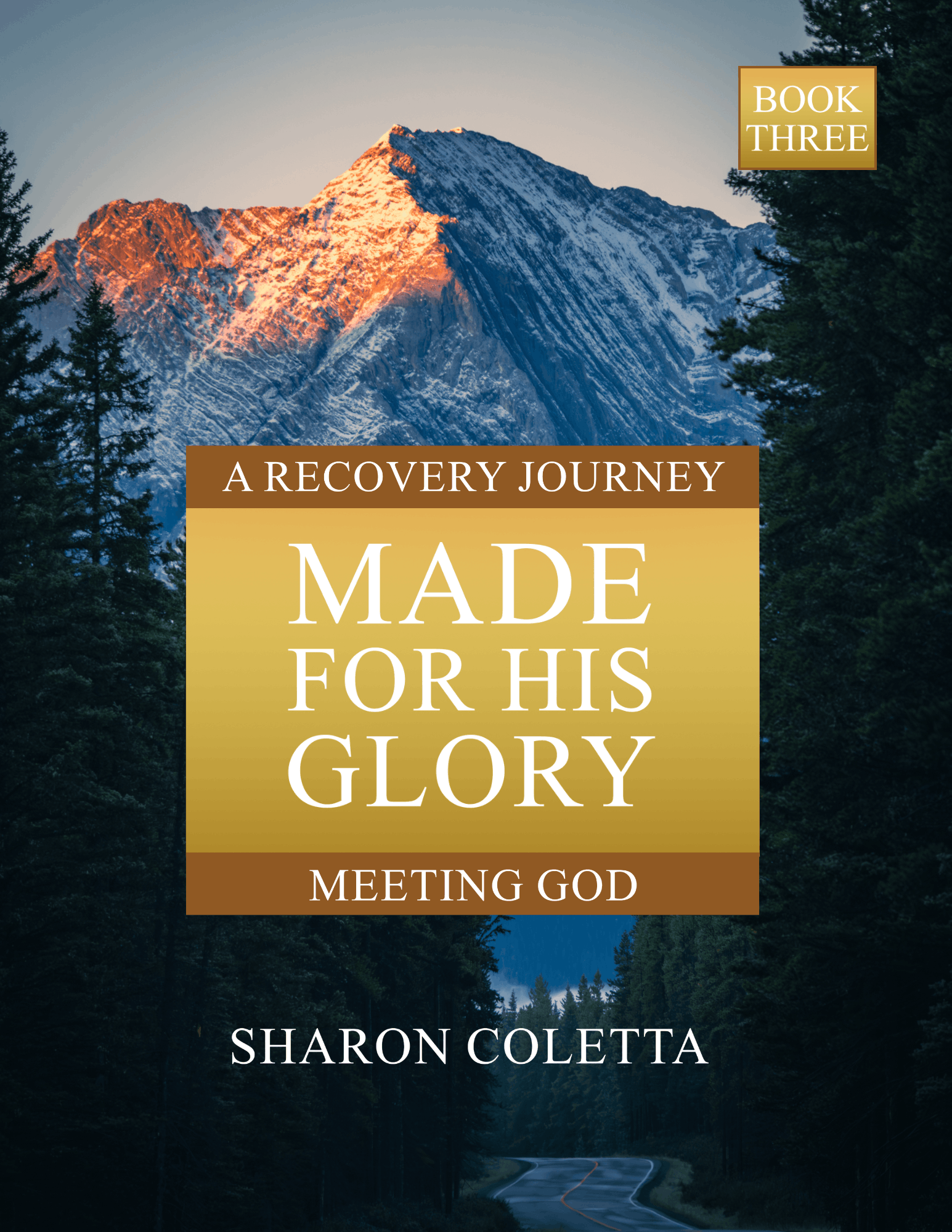 Book Three: Meeting God