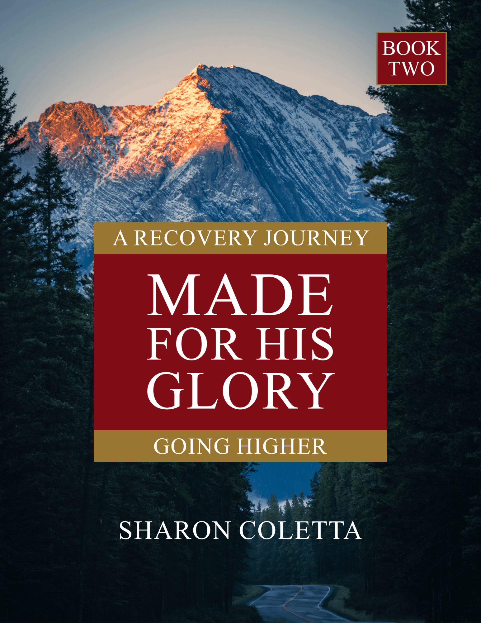 Book Two: Going Higher