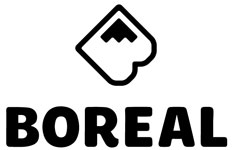 Boreal Ridge Corporation USA logo